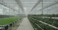 植物生长环境参数实时监测仪 雾培水培控制系统 雾培自动控制系统 