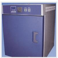 高温恒温试验箱   数显微电脑高温恒温试验箱 热风循环高温恒温试验箱