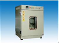 老化试验箱 双风道循环老化试验箱 数显老化试验箱