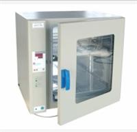 电热鼓风干燥箱 热空气消毒箱 微电脑电热鼓风干燥箱