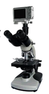 数码简易偏光显微镜 三目铰链式显微镜 反射，折射，双折射显微镜