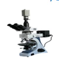 电脑反射偏光显微镜 三目滑板式显微镜 偏光显微镜