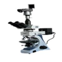 数码反射偏光显微镜 三目滑板式显微镜 偏光显微镜