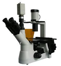 倒置荧光显微镜 细胞内的两种倒置荧光显微镜