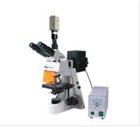 电脑荧光显微镜 数码荧光显微镜 摄像荧光显微镜