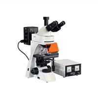 无限远生物显微镜 摄像UIS生物显微镜 三目铰链式生物显微镜