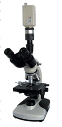 电脑型简易偏光显微镜 三目铰链式显微镜 双折射显微镜