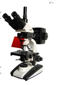 荧光显微镜 三目荧光显微镜 UIS落射荧光显微镜