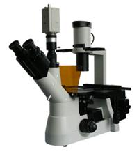电脑倒置荧光显微镜 细胞内的两种核酸显微镜 医学、病理学荧光显微镜