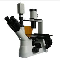 荧光显微镜   摄像荧光显微镜   细胞内的两种核酸显微镜