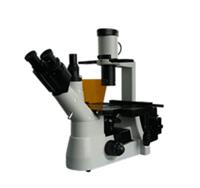  细胞内的两种核酸显微镜     荧光显微镜   倒置荧光显微镜  