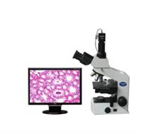 生物显微镜 显微镜  医院作病理检验显微镜