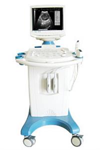 数字化黑白超声诊断仪  超宽频黑白超声诊断仪  多变频黑白超声诊疗仪