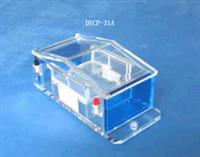 琼脂糖电泳仪 微型电泳槽 PCR电泳分析仪 RNA电泳仪   